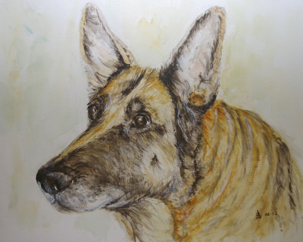 Chrissy, la chienne de notre fils